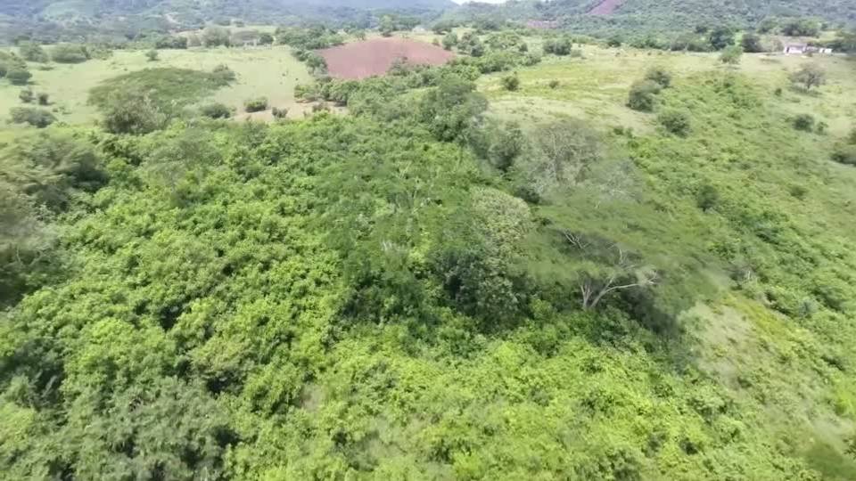 Climate action: Zambia, EU sign deal on forest management
