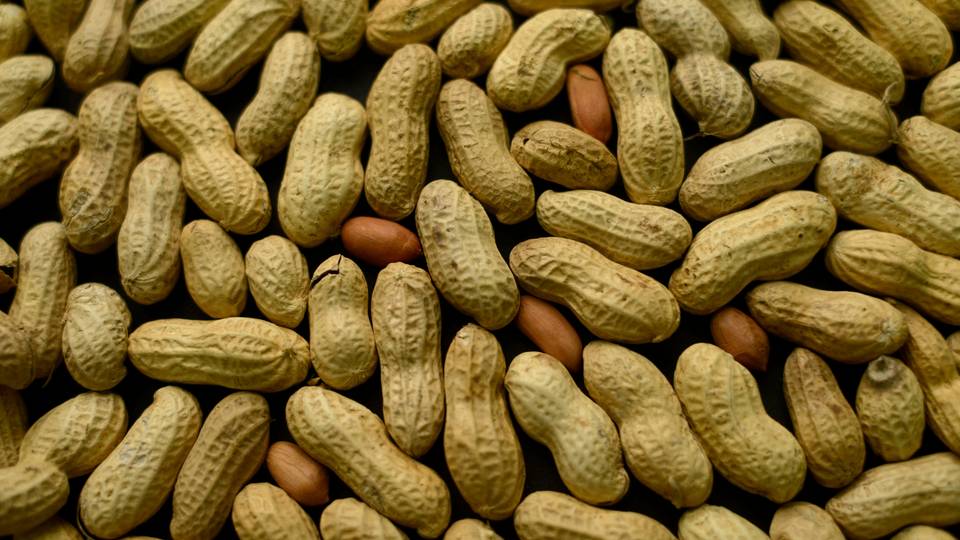 Le Sénégal suspend les exportations de graines d’arachide