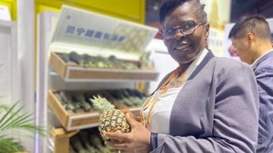 L’ananas béninois à la conquête du marché international
