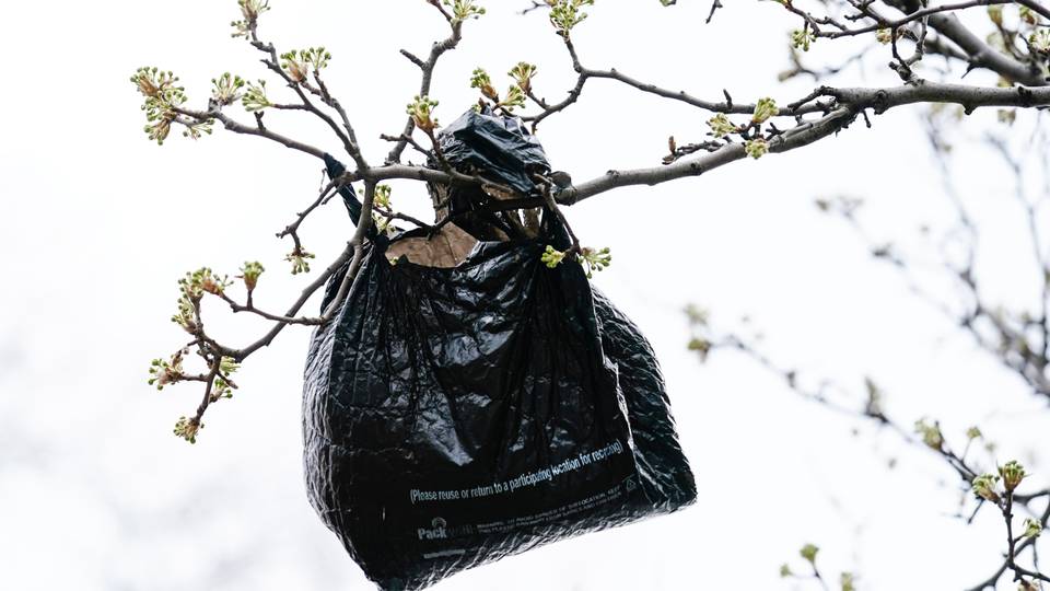 Somalia bans single-use plastic bags