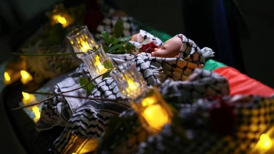 Live Updates: Saudi Arabia to host Arab, Islamic summits to discuss Gaza war