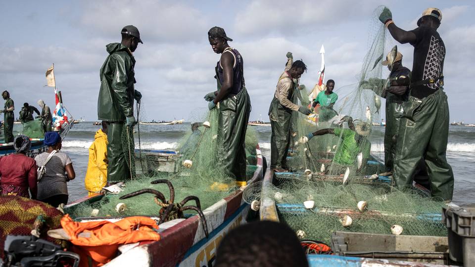 En Gambie, un village de pêcheurs sans patrie