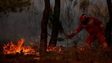 Six firefighters die battling bushfire in South Africa