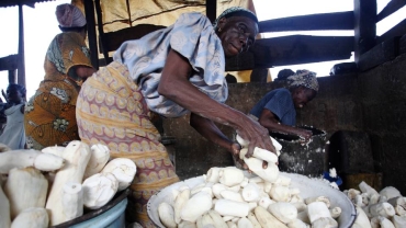 Attiéké to Foufou: How cassava adds zing to African cuisines