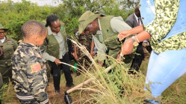 Kenya plants trees to remember flood victims