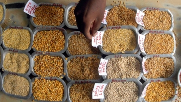 Mozambique court halts shipment of $61m India-bound pigeon peas