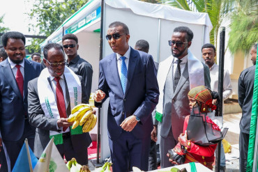 Somalia imports 75% of its food at over $2 billion as PM urges self-reliance