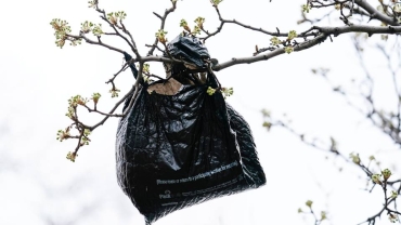 Single-use plastics banned in Nigeria's Lagos City