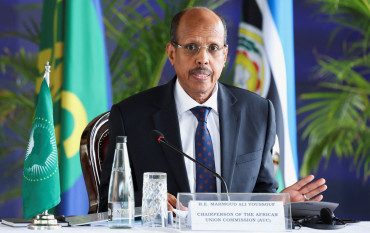 African Union backs China-Pakistan peace plan for Middle East