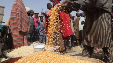 Tens of millions under hunger threat in Central, West Africa - UN