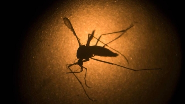 Malaria jabs set for broader rollout in Africa