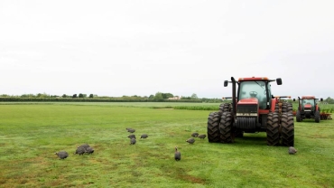 Zimbabwe identifies over 500 recipients of farm seizure compensation