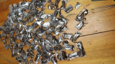 Police seize 150 live scorpions in South Africa airport sting operation