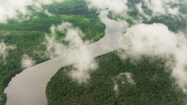 La BAD accorde au Cameroun un prêt de 80 millions de dollars pour la construction d'un pont