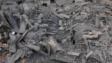 Live Updates: Gaza death toll now above 39,300