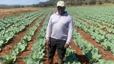 How digital platforms help Zimbabwe's young farmers click