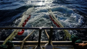 South Africa Seizes Chinese Fishing Vessels Over Illegal Entry