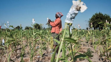 Worst drought in years 'affecting 68 million people' in Southern Africa