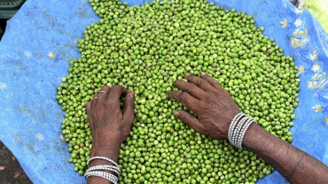 150,000 tonnes of India-bound peas held in Mozambique