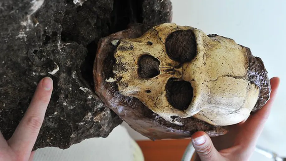 South Africa Returns Ancestral Remains and Heritage Artefacts to Zimbabwe
