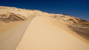 Fourteen people found dead in Algerian desert