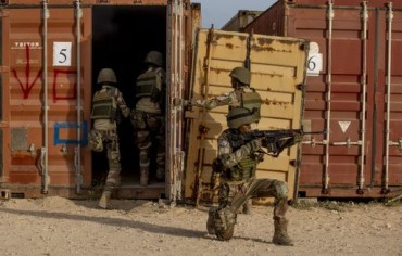 Somalia says airstrikes killed 868 terrorists since February