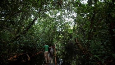 DR Congo to create world’s largest tropical forest reserve
