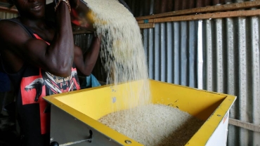 Nigeria stampede: Students die in rush to get donated rice