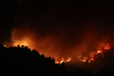 Algeria recalls personnel from leave to battle more than 100 wildfires