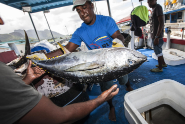 Accord de pêche UE-Seychelles : un compromis à 7 % face aux divergences