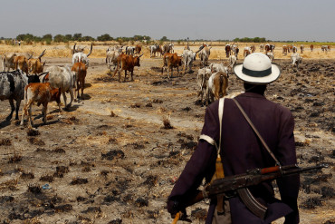 South Sudan cattle raid in Warrap state claims 49 lives, dozens wounded