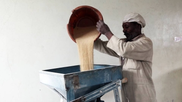 Zimbabwe predicts huge grain deficit in 2024