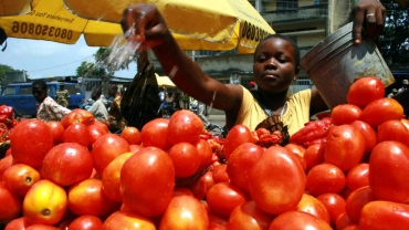 Nigeria plans to regulate basic food prices as cost of living bites