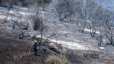 South Africa firefighters battle raging wildfire