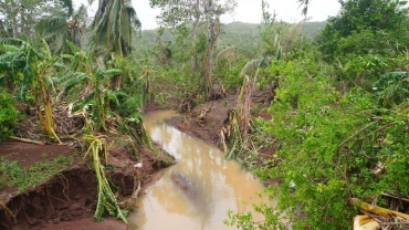 Cyclone Dikeledi devastates Mozambique