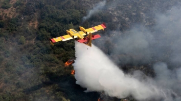 Dozens of fires ravage Algerian forests, farms