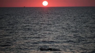 More than 1,000 migrants rescued off Mauritania in 10 days