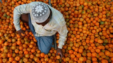 Le Maroc annonce la baisse des exportation des oranges