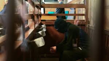 Agression à Berlin : un Syrien condamné à 13 ans pour attaque terroriste