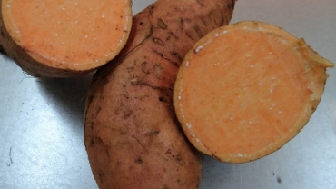 Une nouvelle patate douce : la clé de l'autosuffisance alimentaire au Burkina Faso
