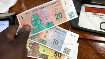 Zimbabwe top bank warns institutions questioning monetary policies