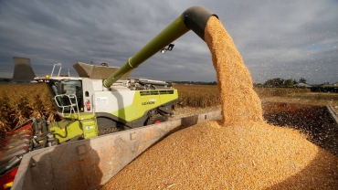 Drought: Zimbabwe maize harvest to drop by 72pc