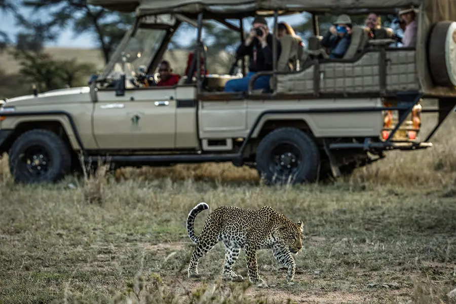 East Africa Safari Adventure: A Journey Through Iconic Wildlife Landscapes