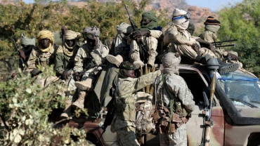'Many' Boko Haram terrorists killed in air strikes: Chad army