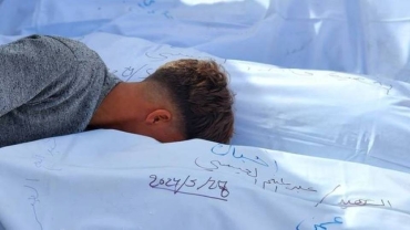 Live Updates: Algeria proposes UNSC resolution calling for truce in Gaza