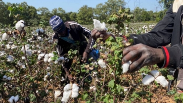 African countries demand end to cotton subsidies for US, China