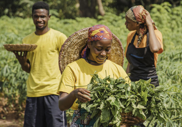 Ripoti Yaonya Kupungua kwa Ukuaji Afrika Kufuatia Vita vya Iran