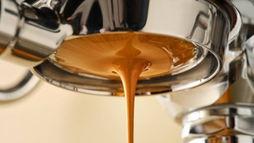 Prehistoric  origins of coffee traced to Ethiopia study reveals
