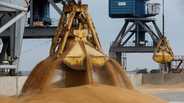 Putin-backed grain exchange in BRICS gaining traction - union