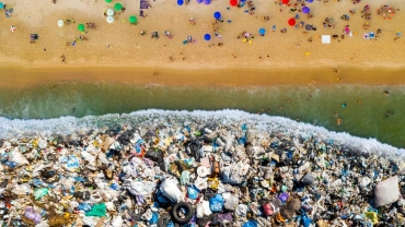 Biodiversity crisis: A million animal species threatened, report